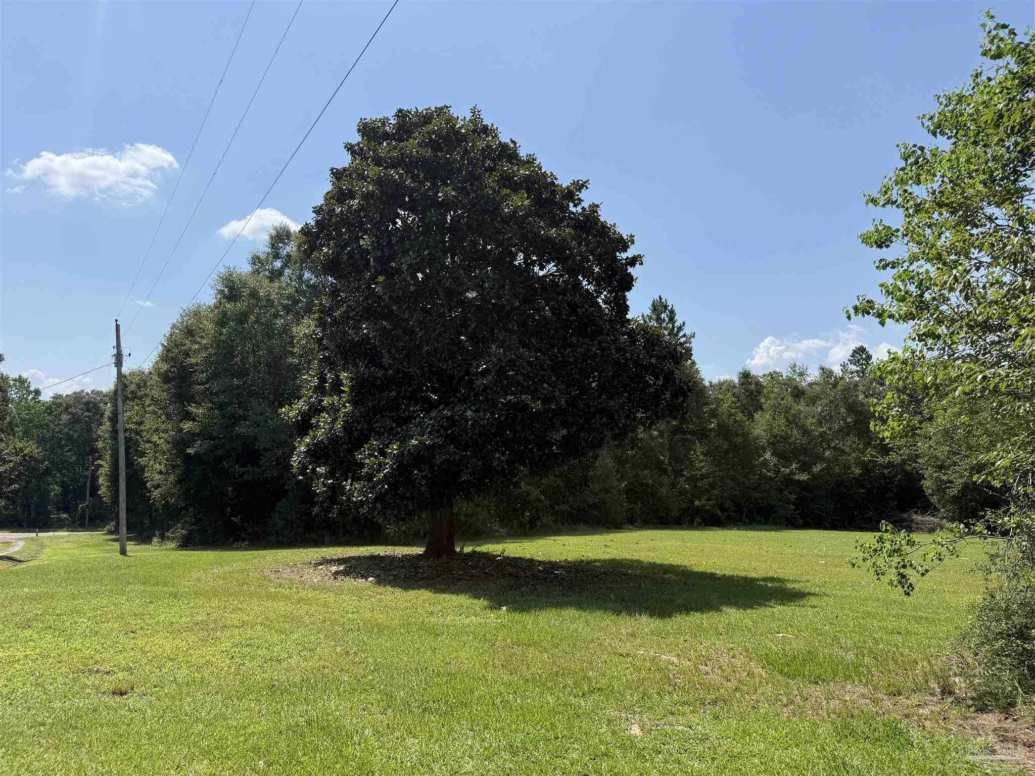 main property photo 42