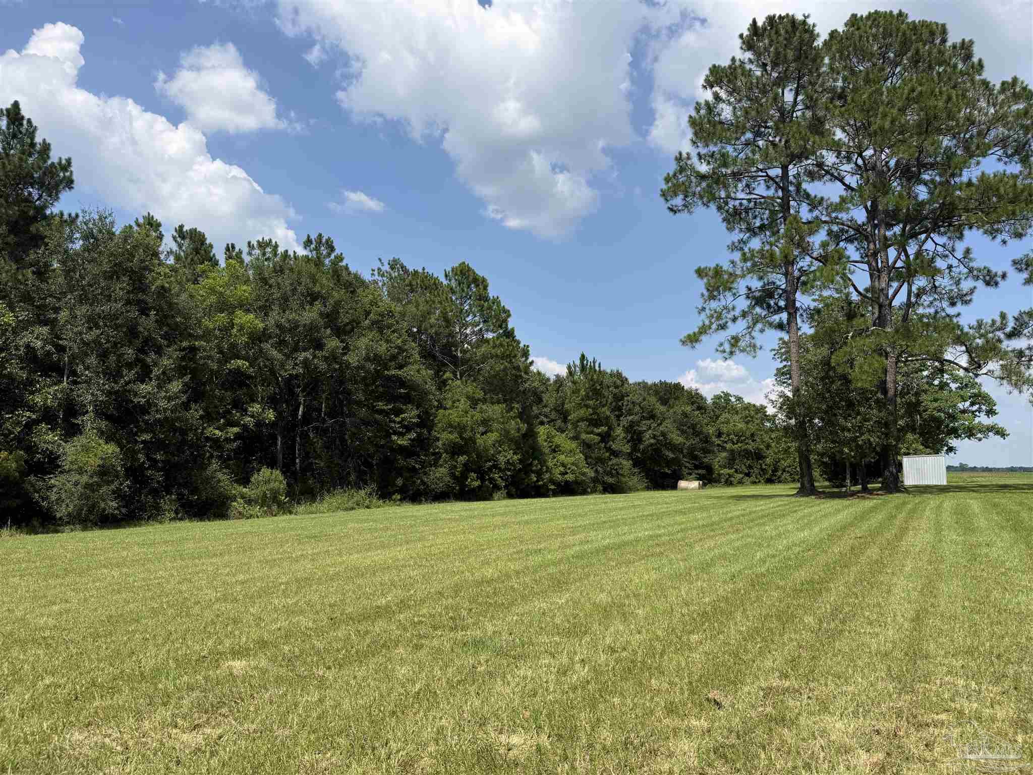 main property photo 46