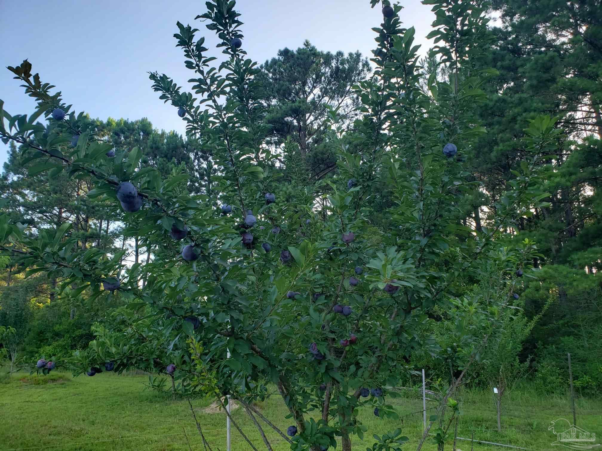 main property photo 25