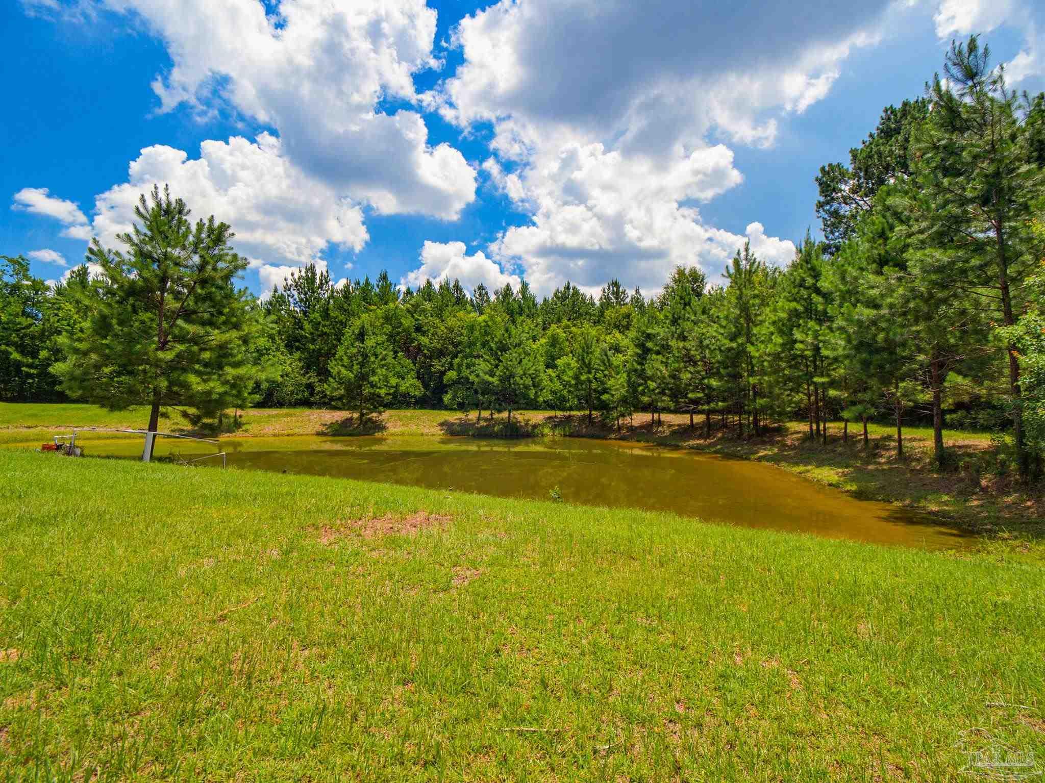 main property photo 40