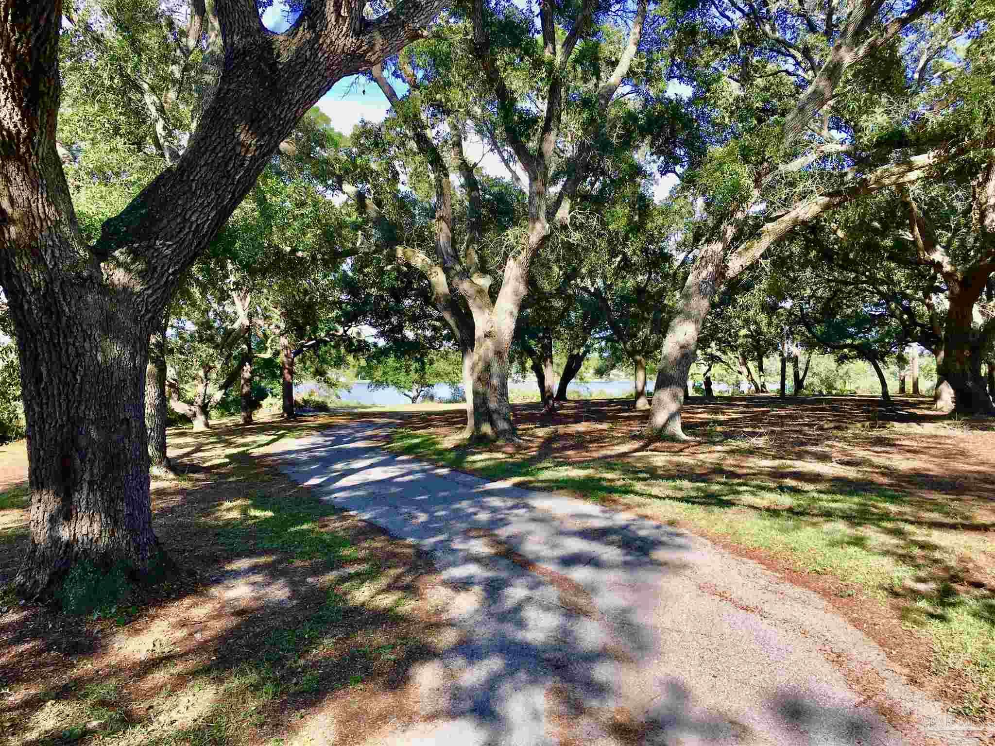 main property photo 41