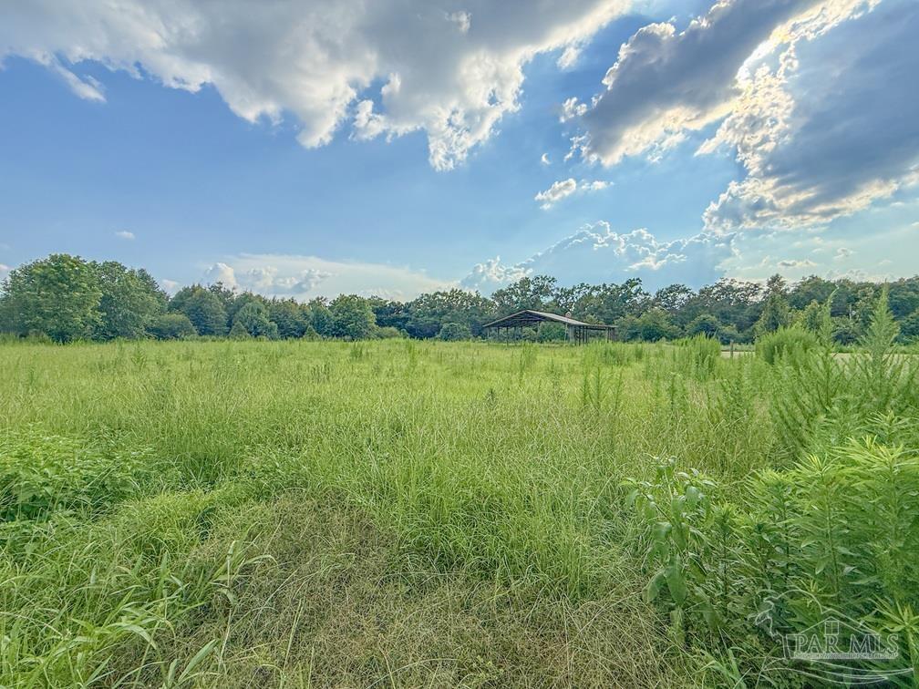 main property photo 49