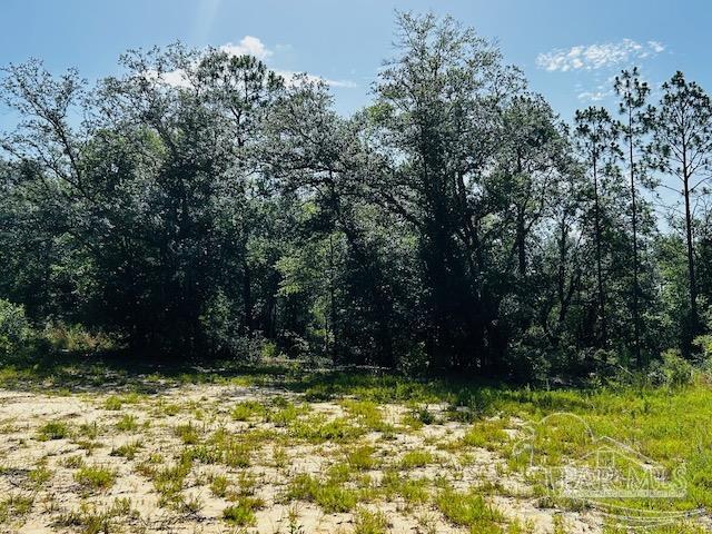property viewer photo 10