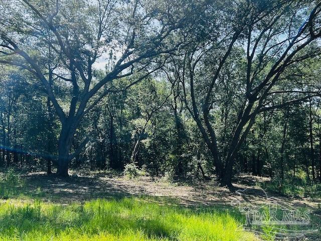 property viewer photo 11