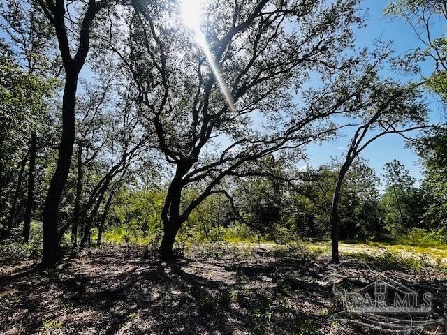 property viewer photo 14