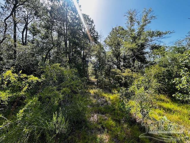 property viewer photo 15