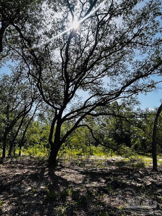 property viewer photo 20