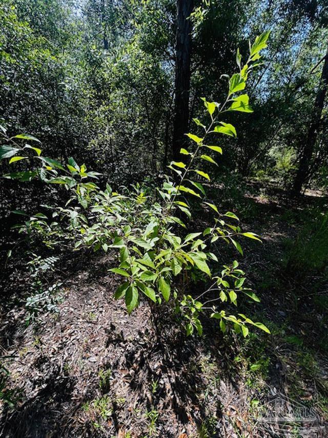 property viewer photo 21