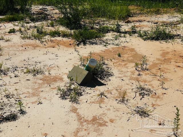 property viewer photo 4