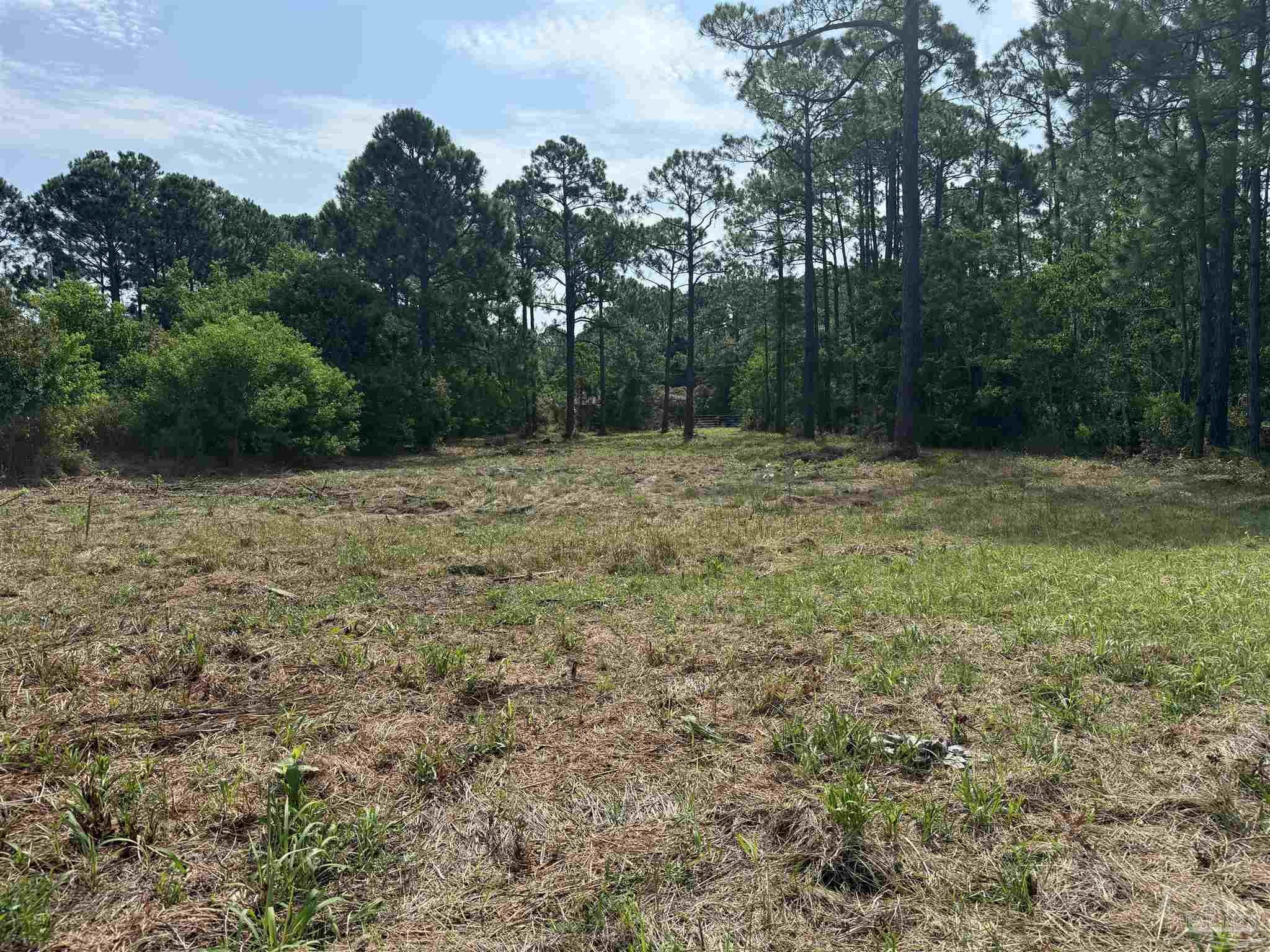 main property photo 11
