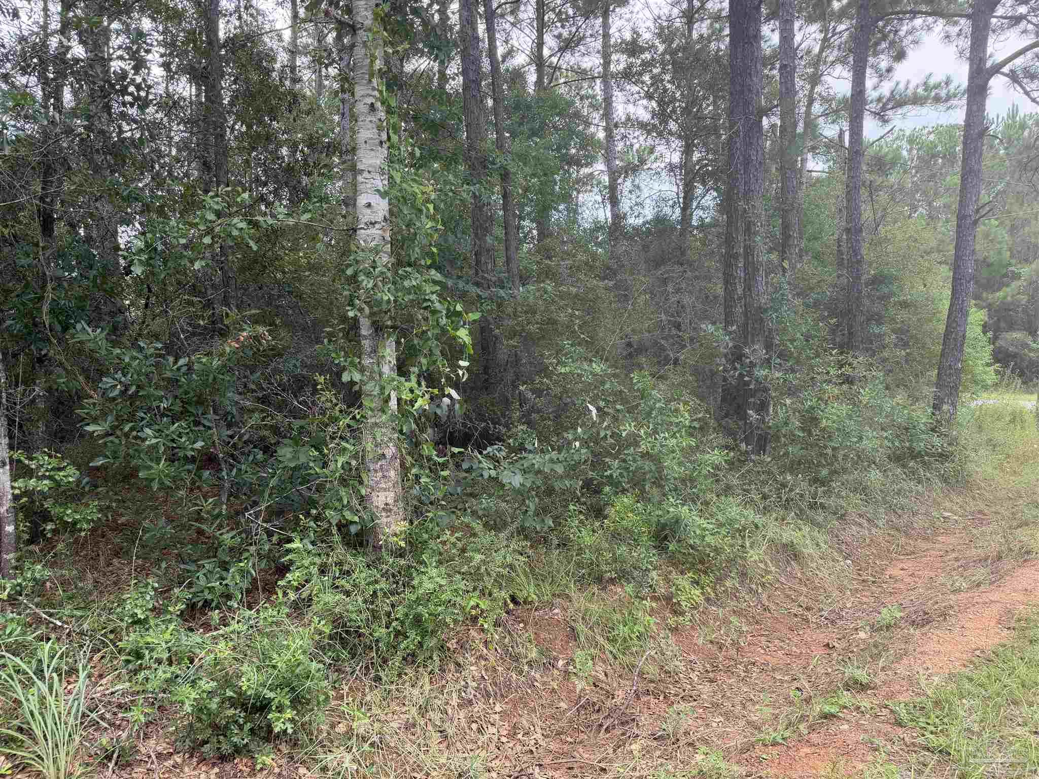 main property photo 0