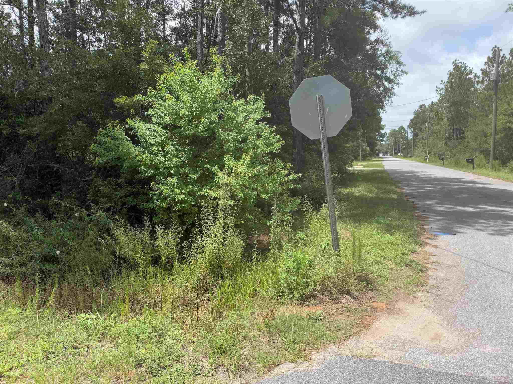 main property photo 10