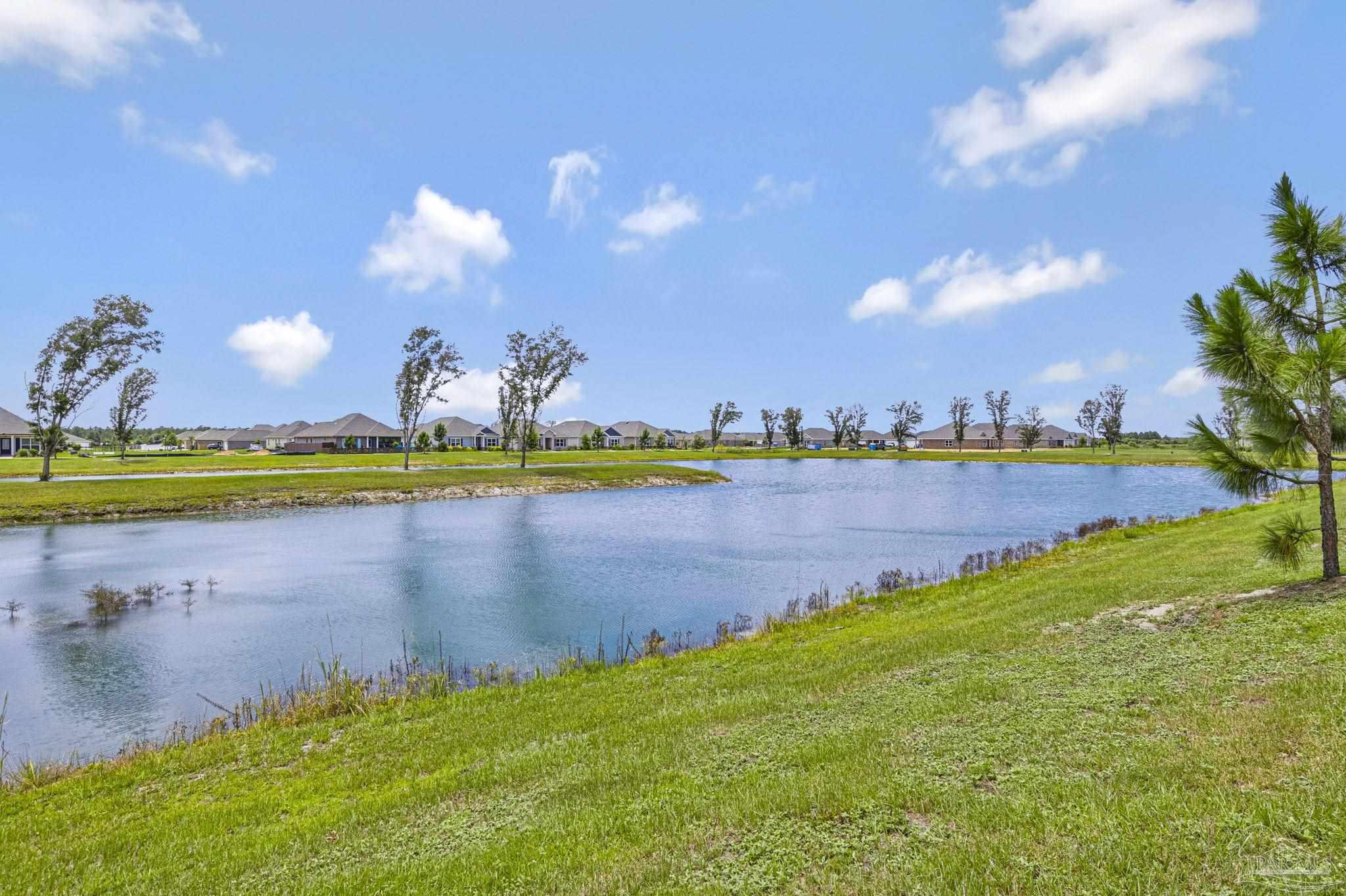 main property photo 53