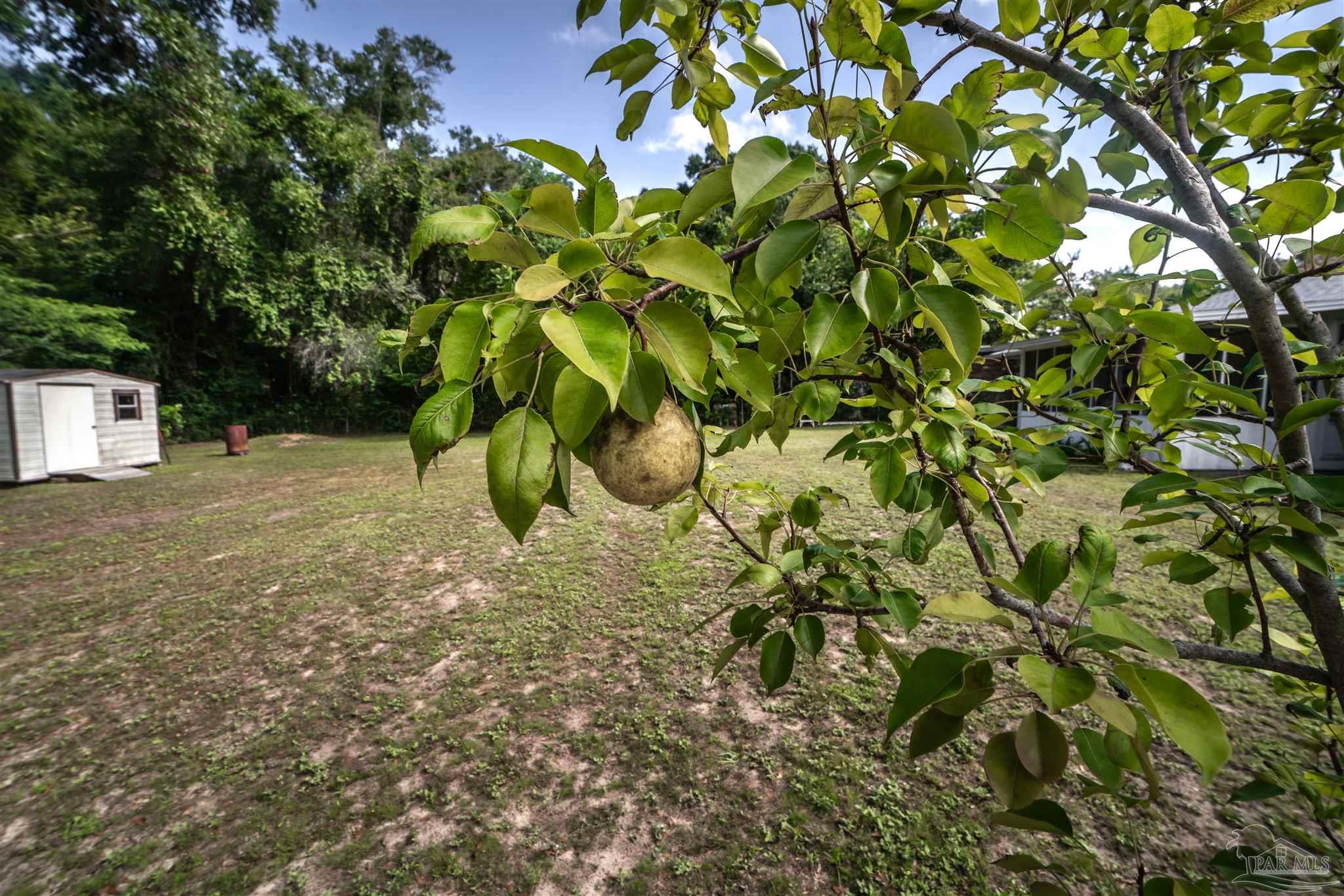 main property photo 38