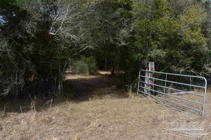 main property photo 28