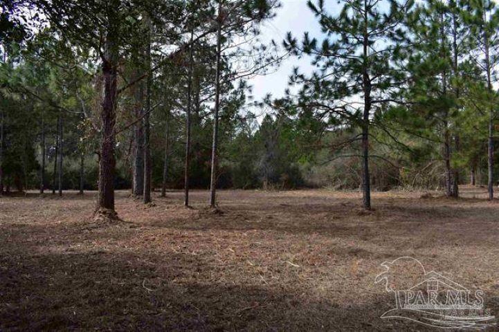 main property photo 25