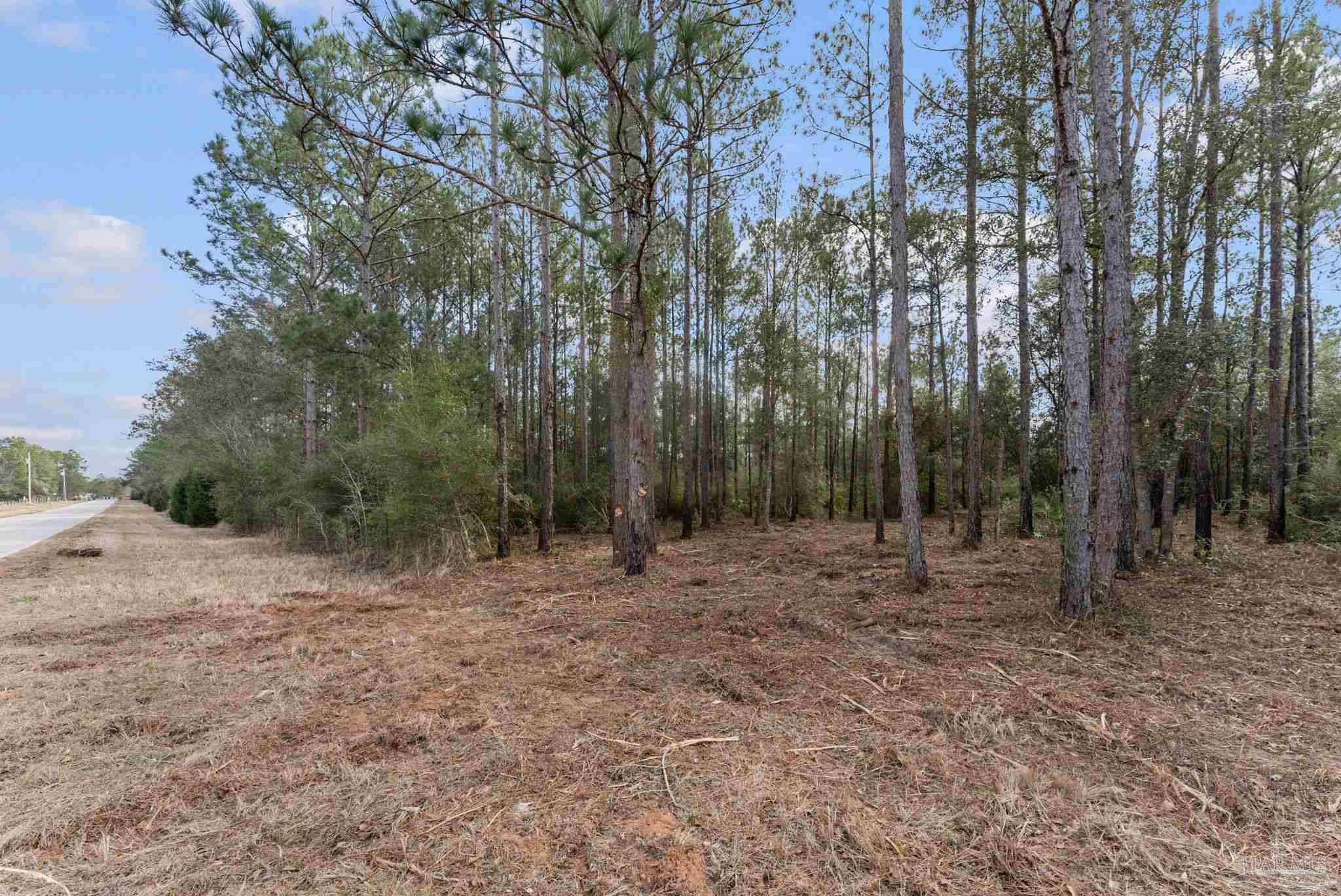 main property photo 12
