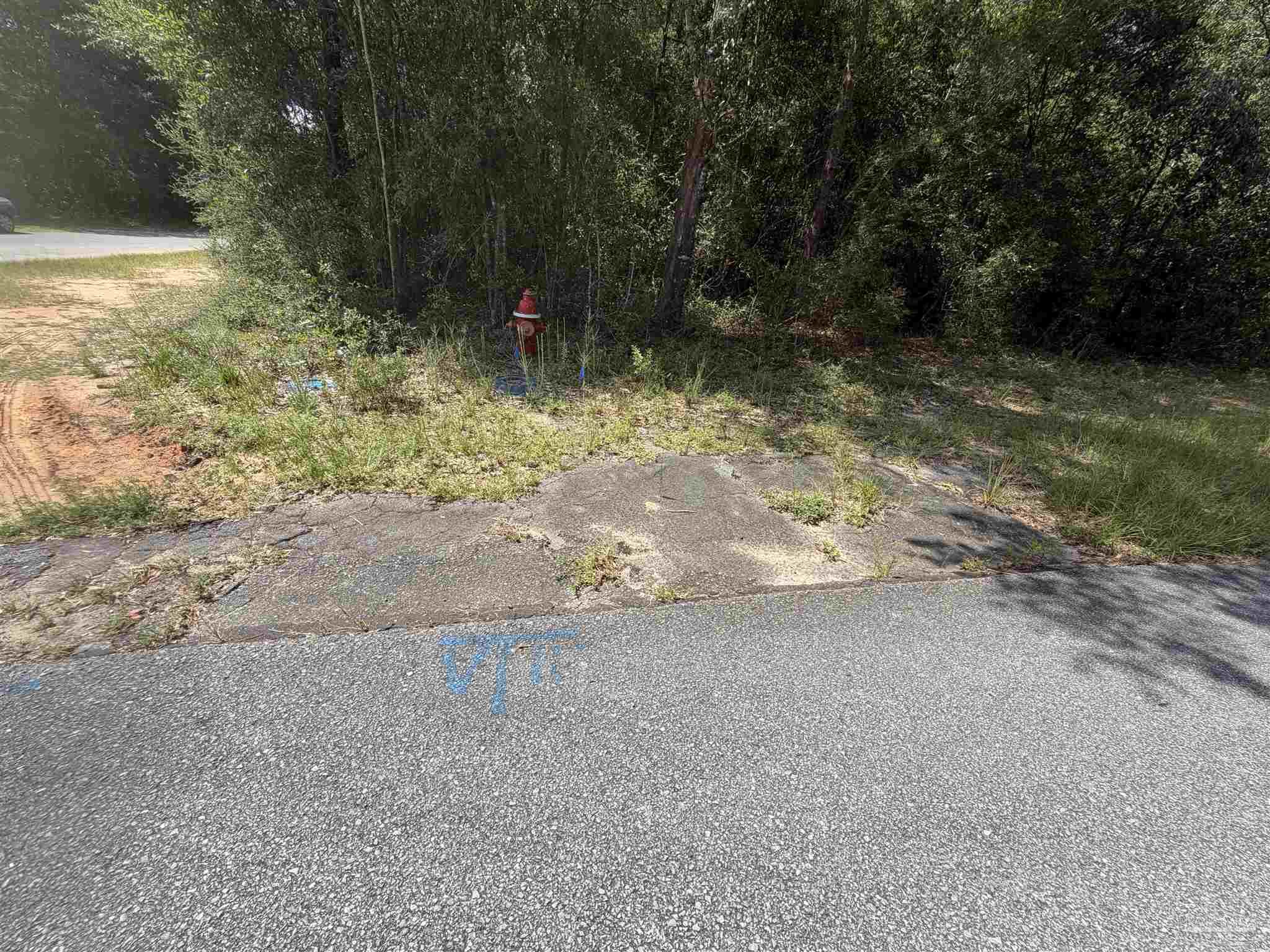 main property photo 4