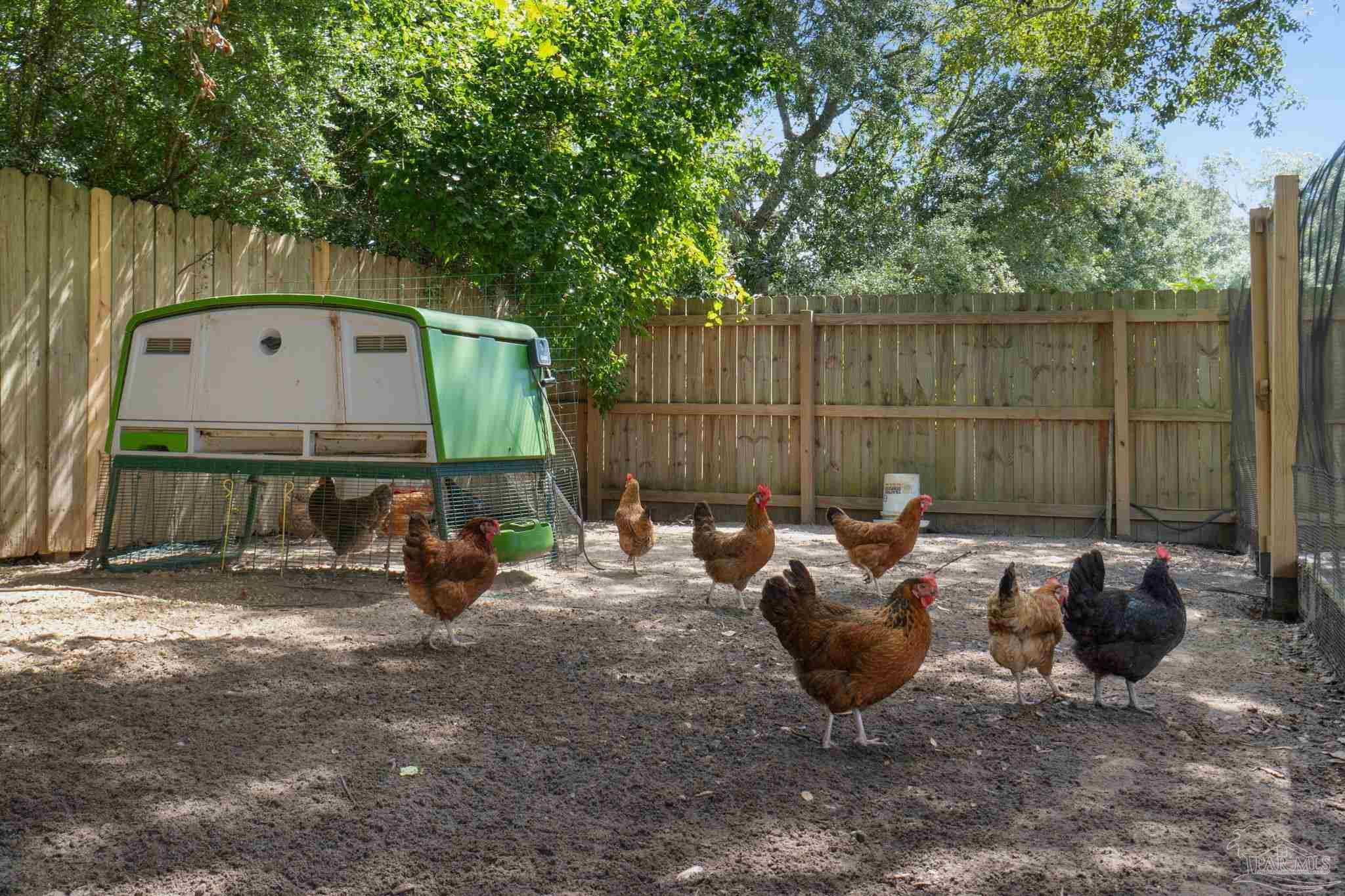 main property photo 58
