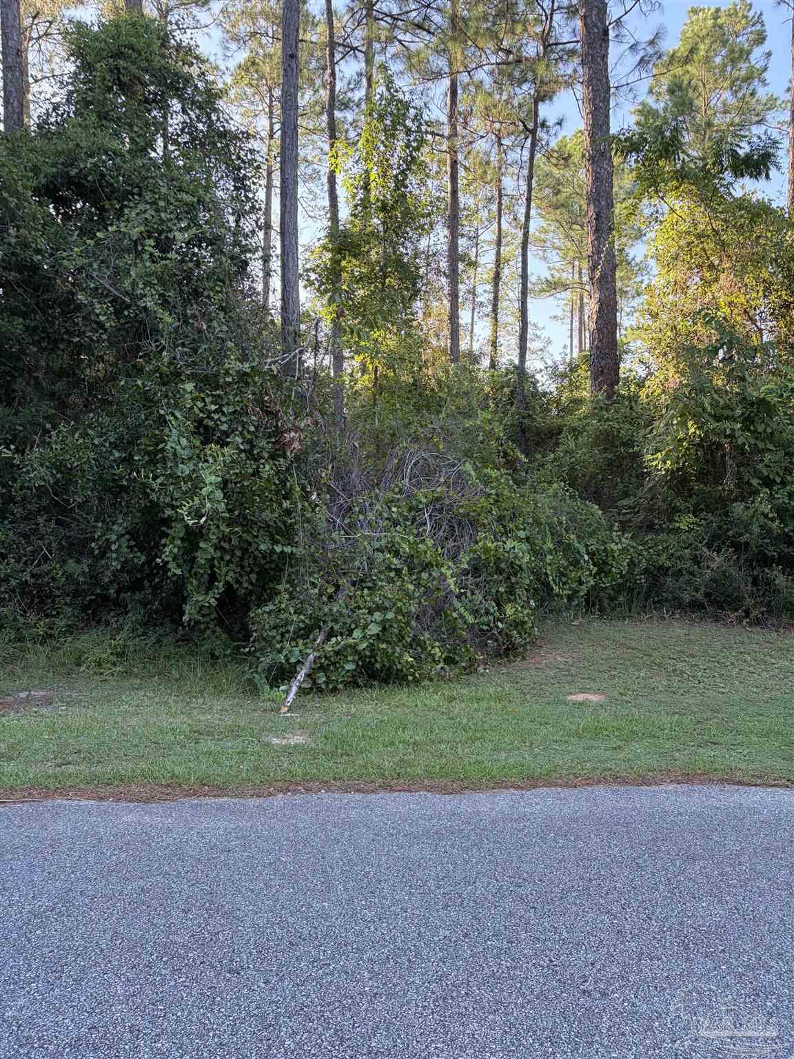 main property photo 0
