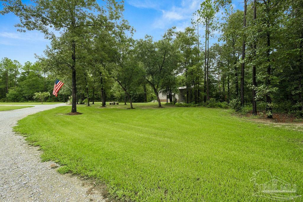 main property photo 55