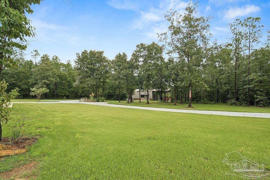 main property photo 69