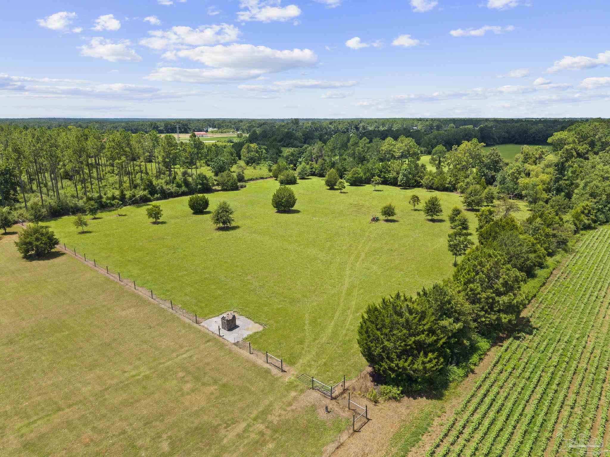 main property photo 53