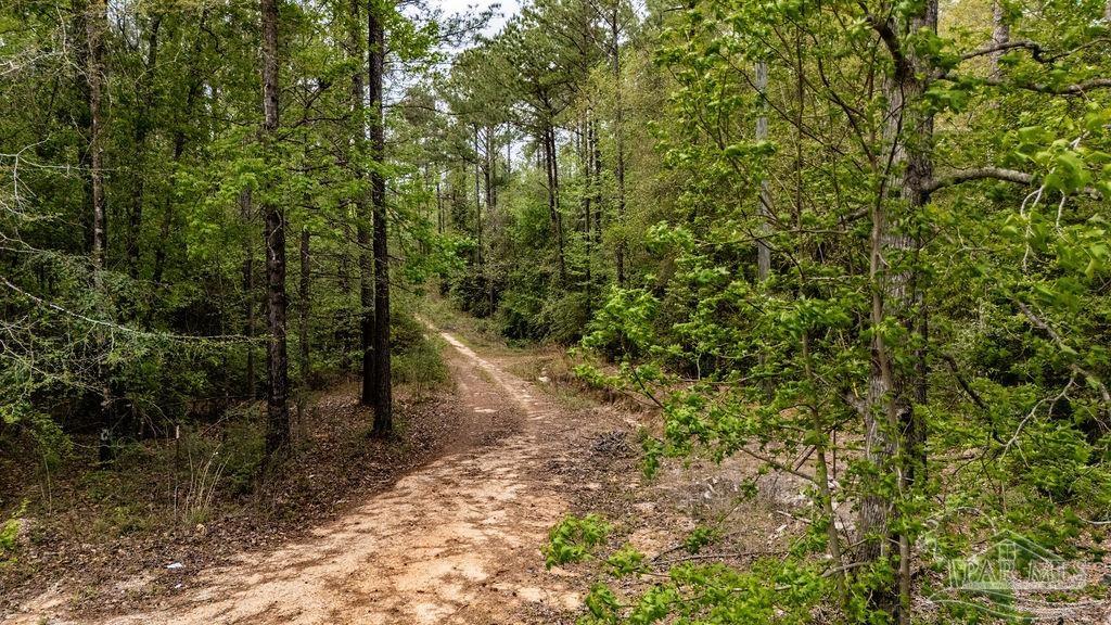 main property photo 50