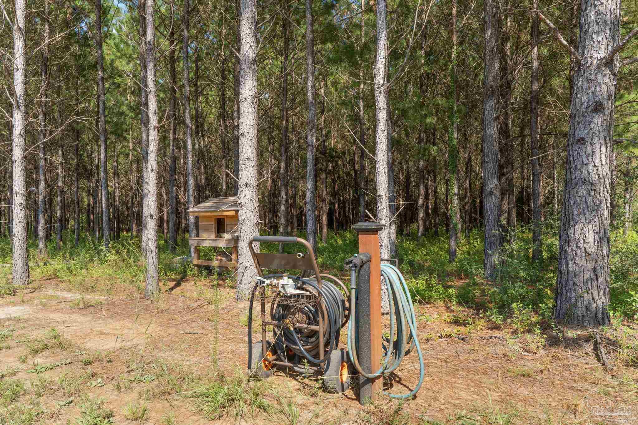 main property photo 34