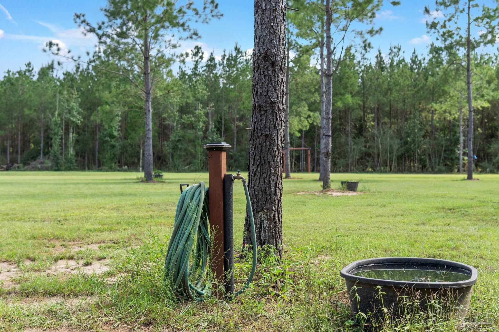 main property photo 49