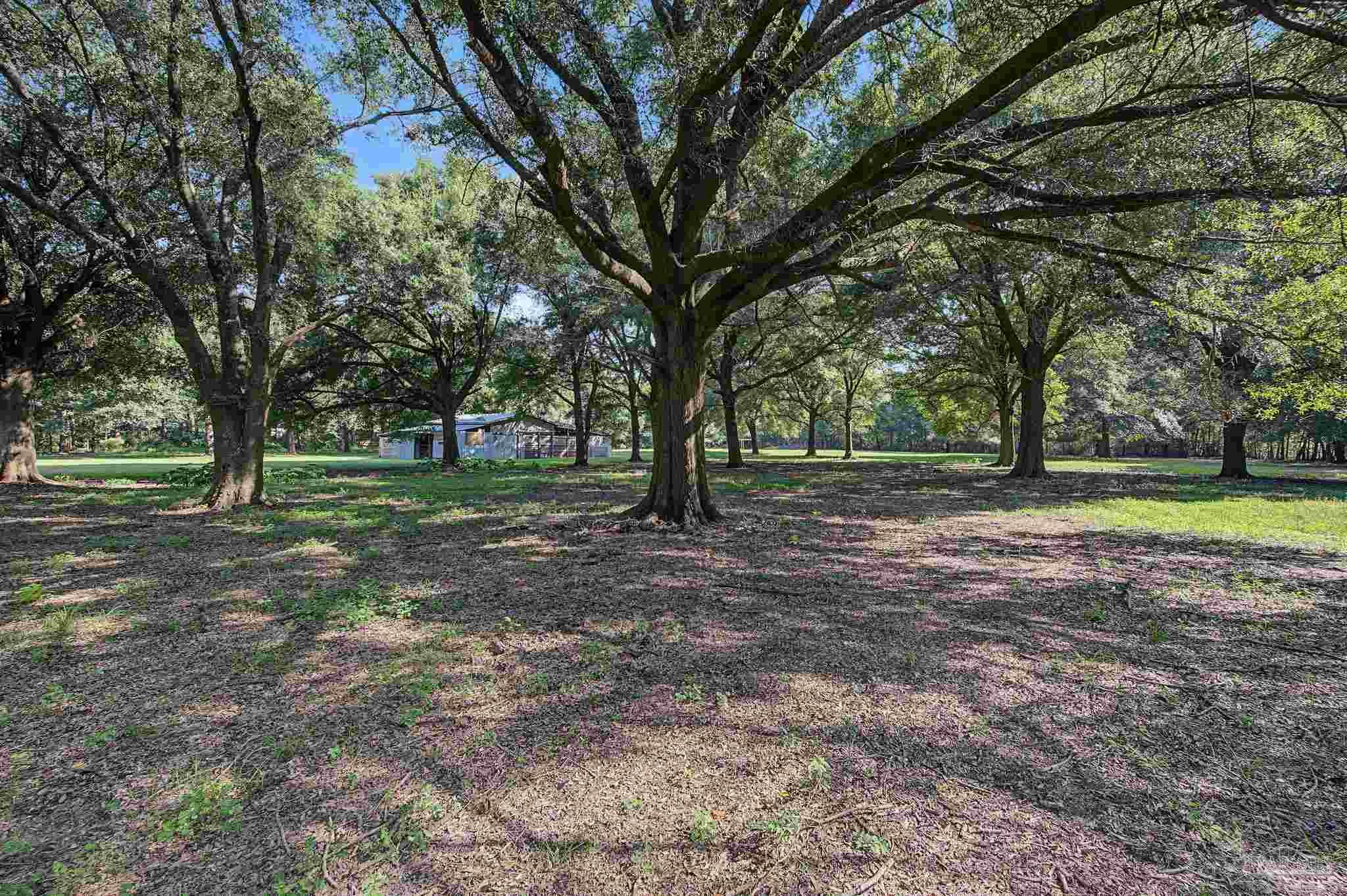 main property photo 43