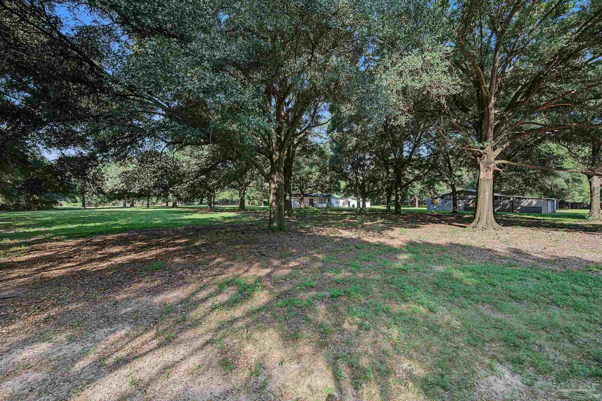 main property photo 46