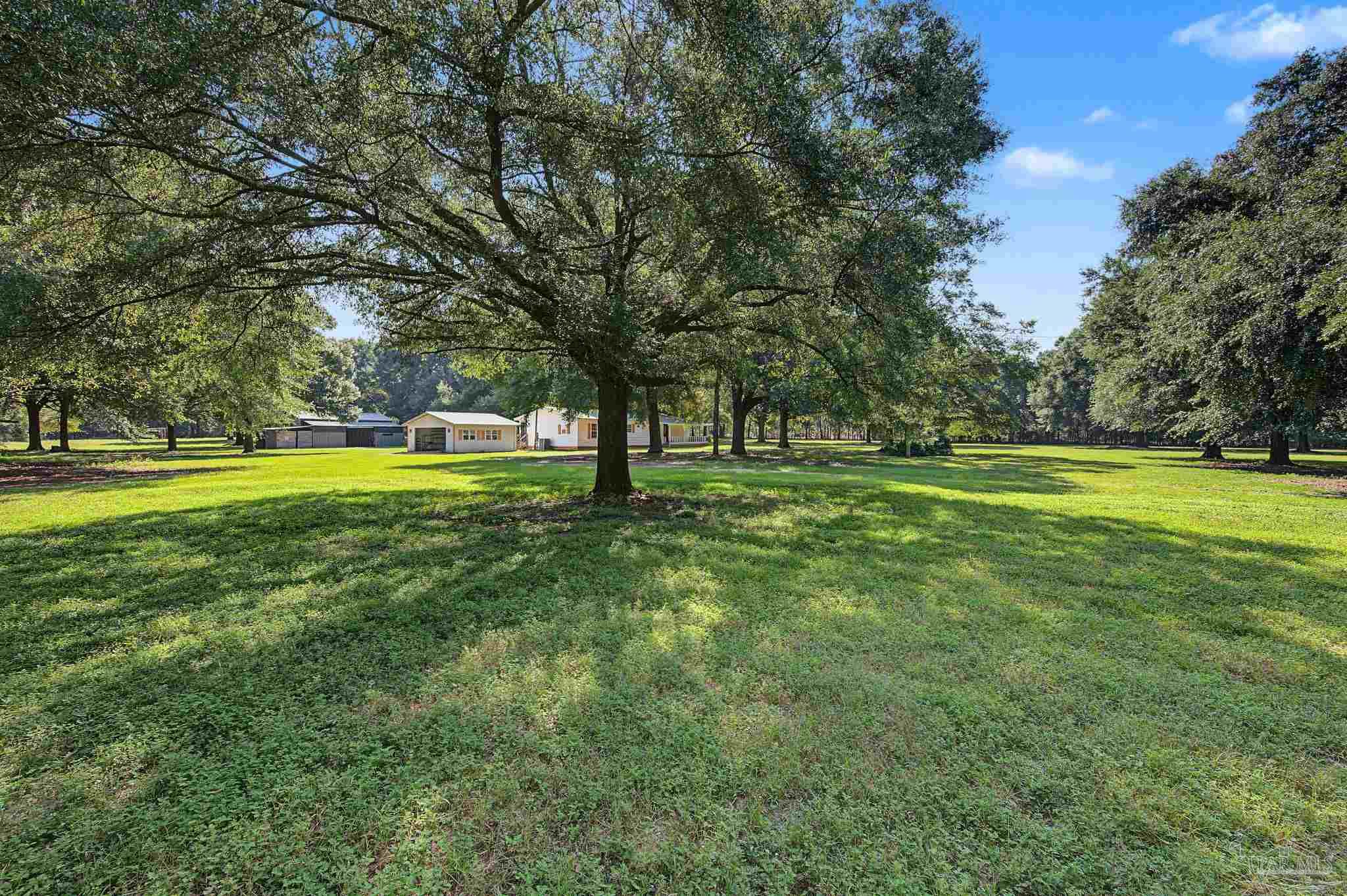 main property photo 48