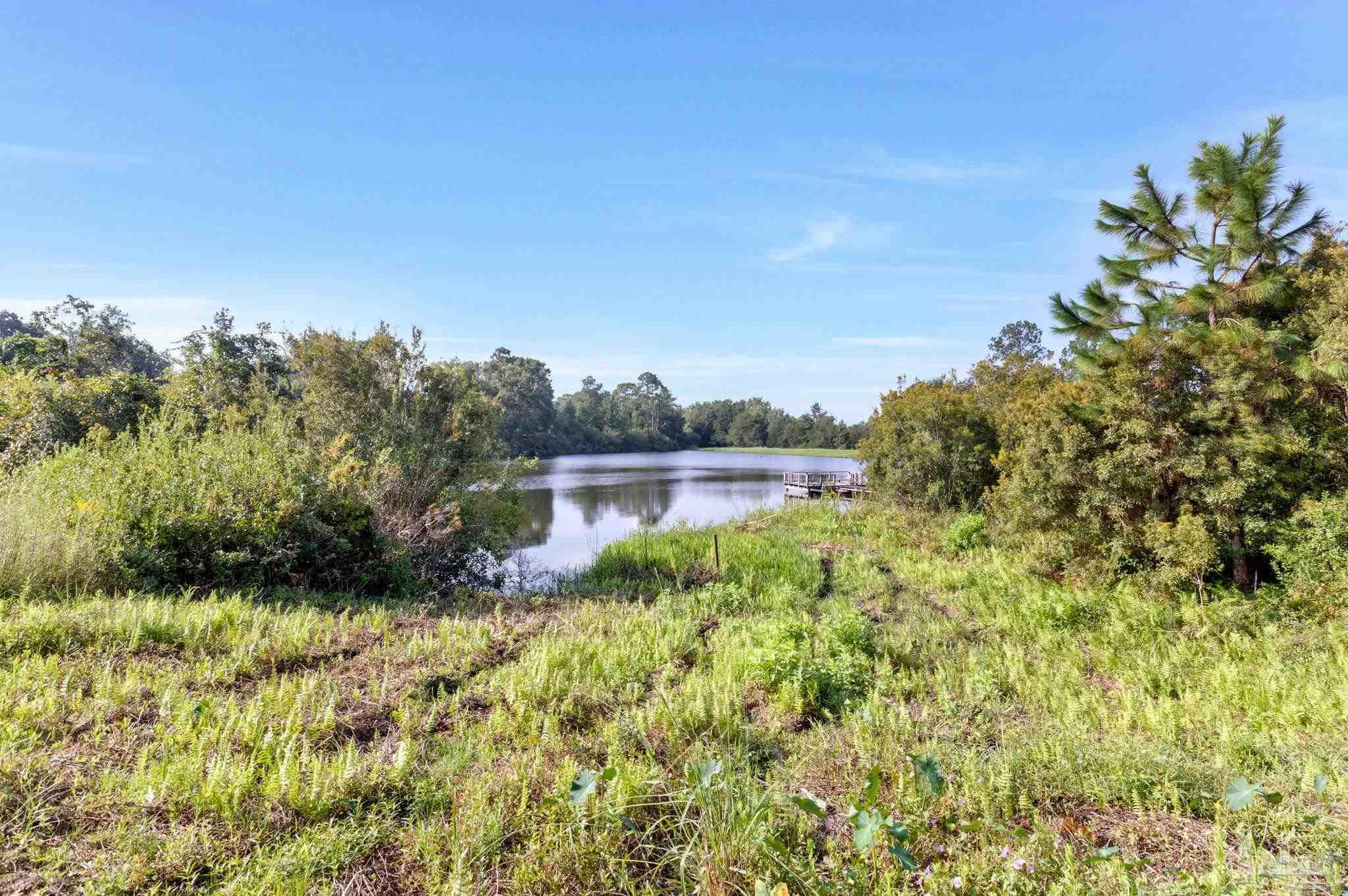main property photo 55