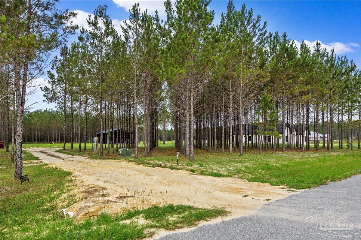 main property photo 18