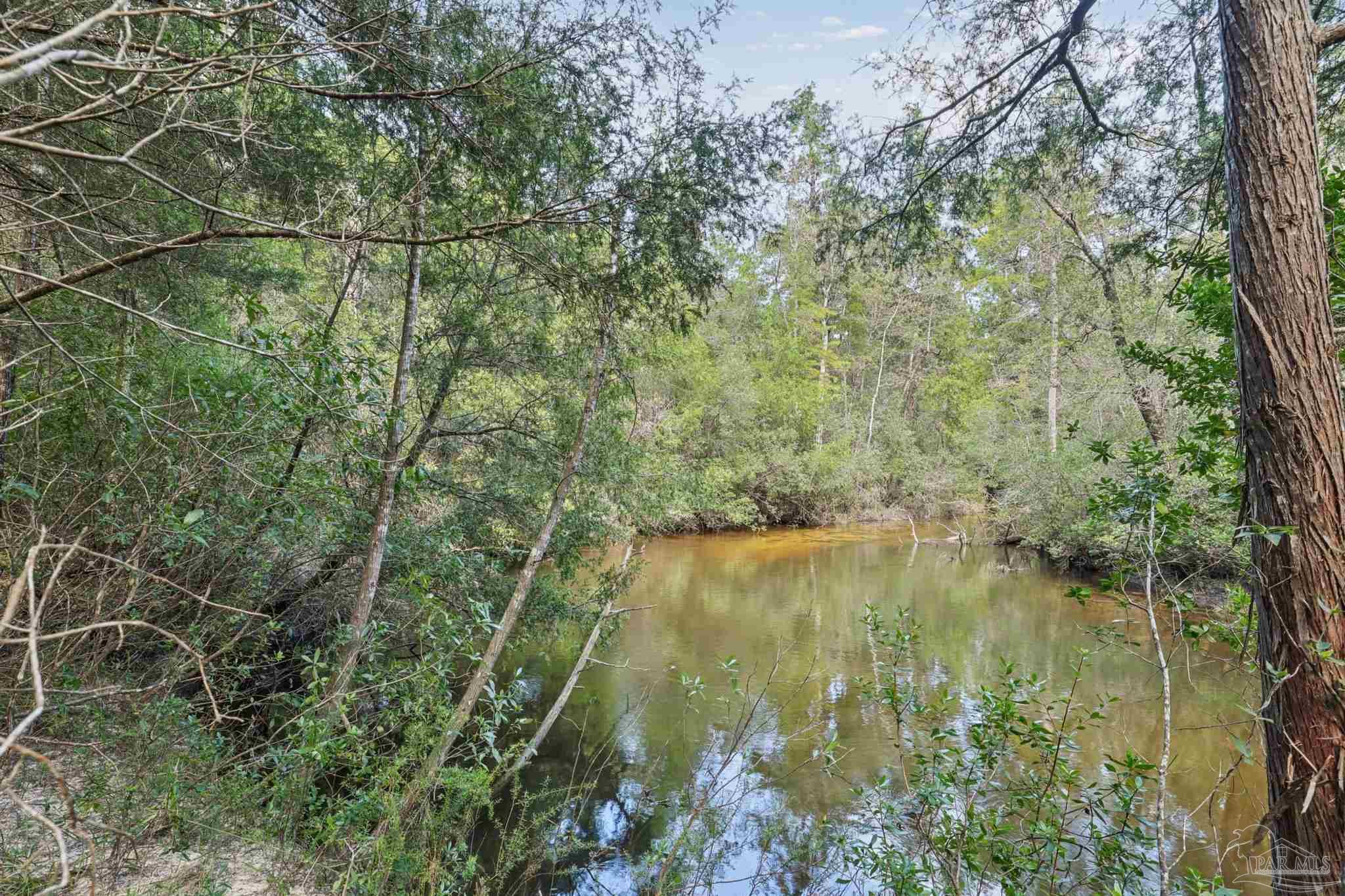 main property photo 50
