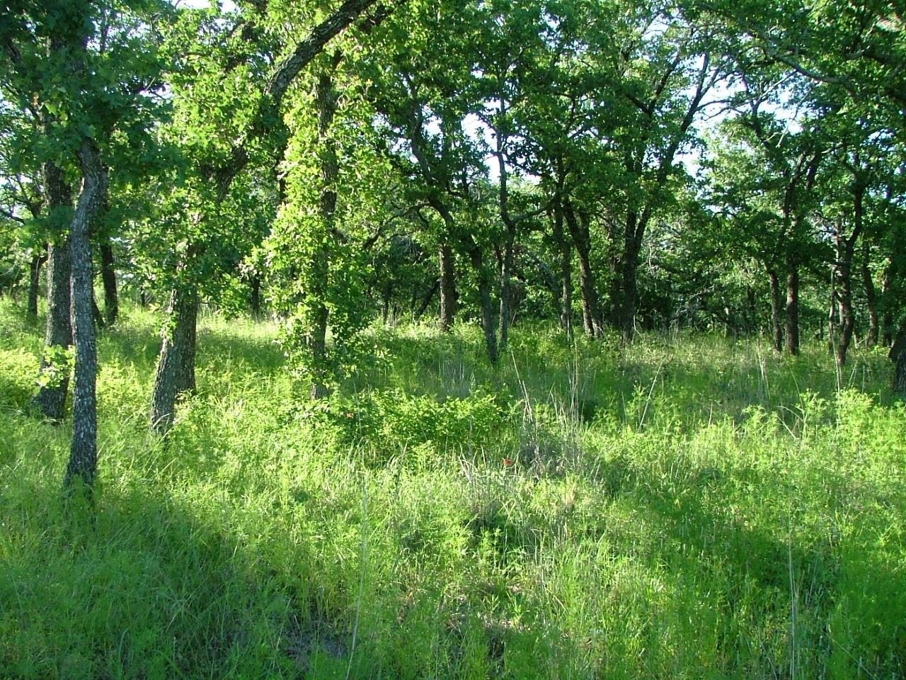 main property photo 11