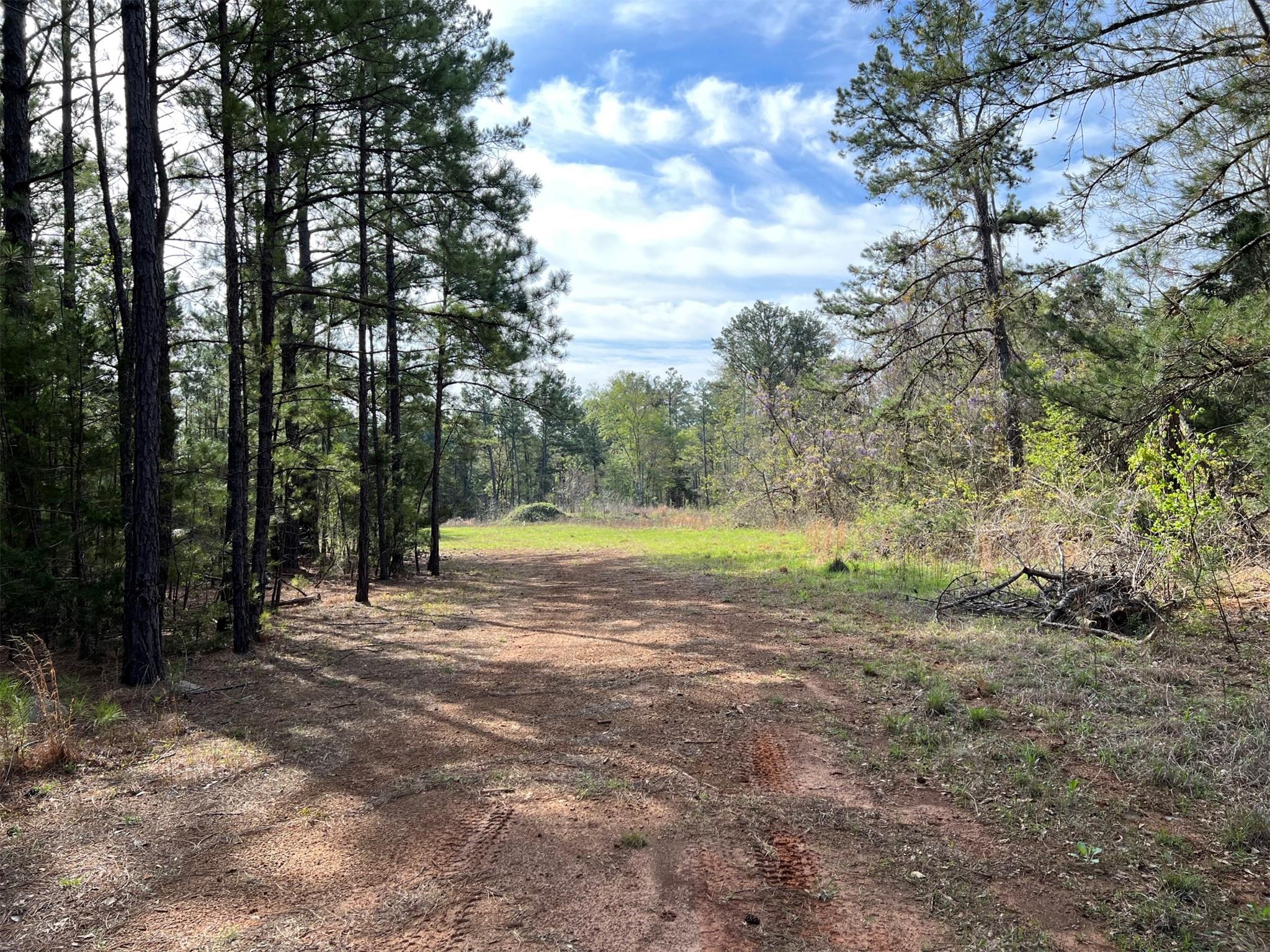 main property photo 7