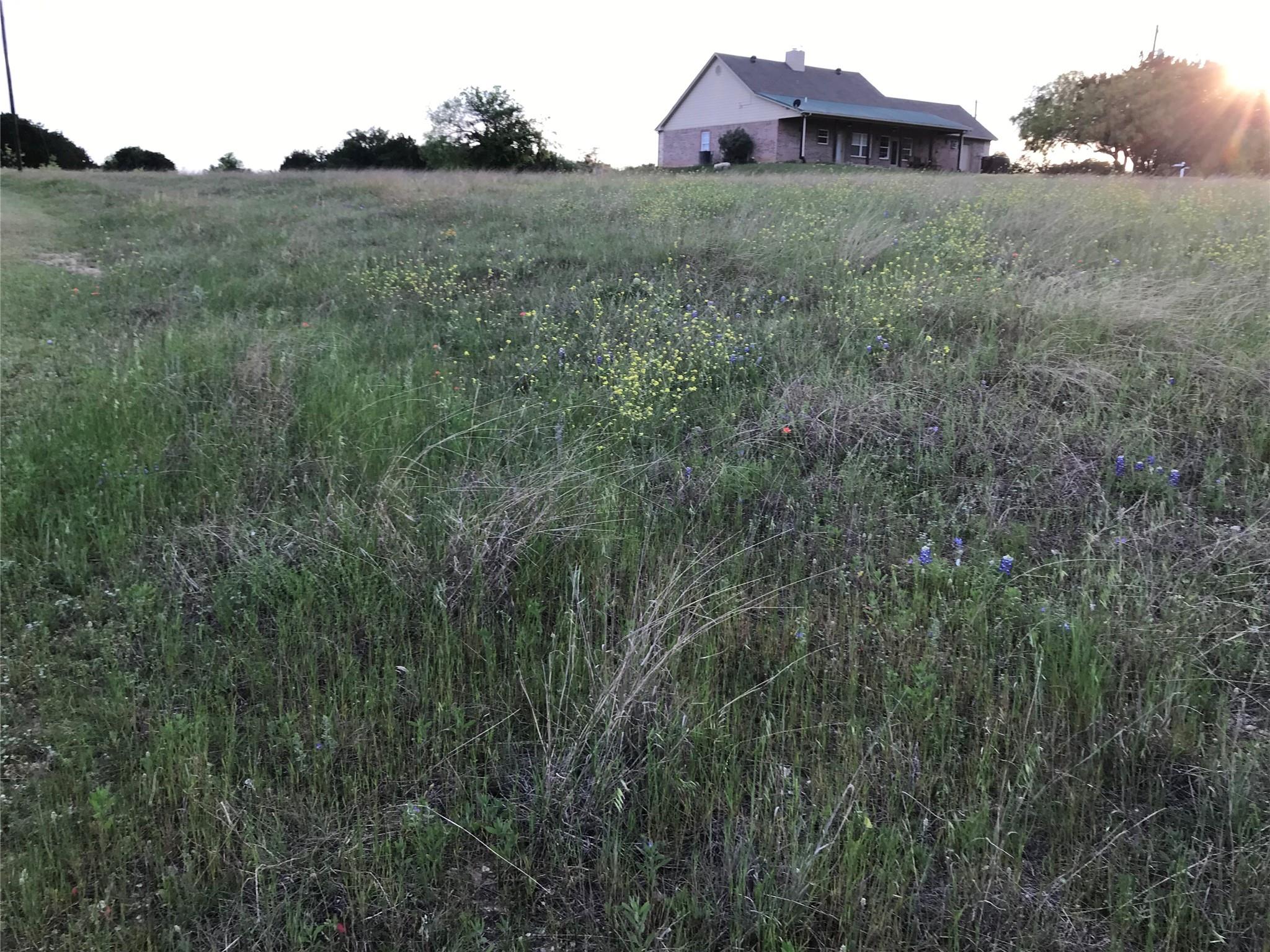 main property photo 6
