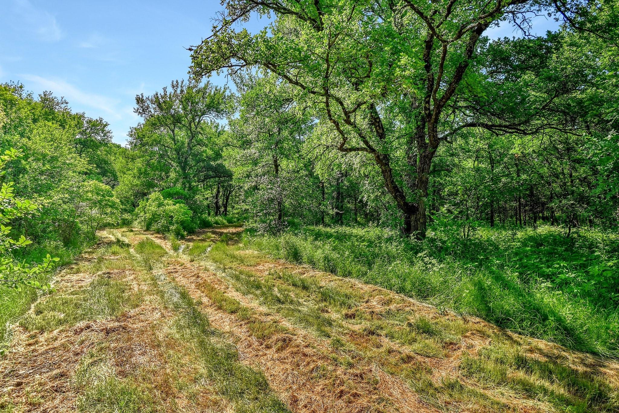 main property photo 12