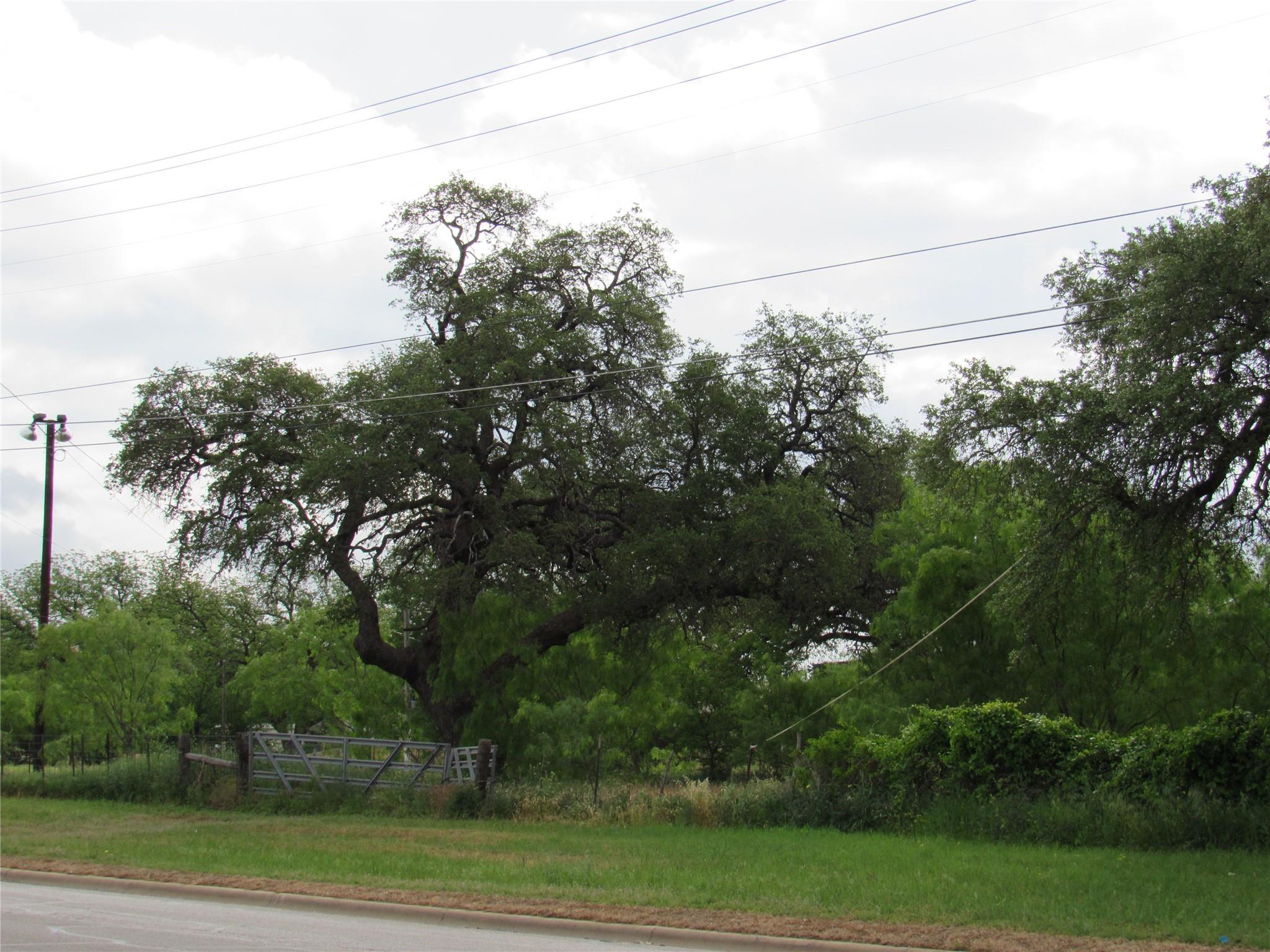 main property photo 8
