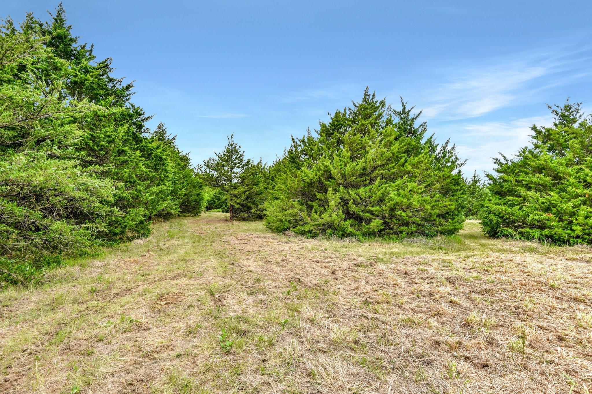 main property photo 20
