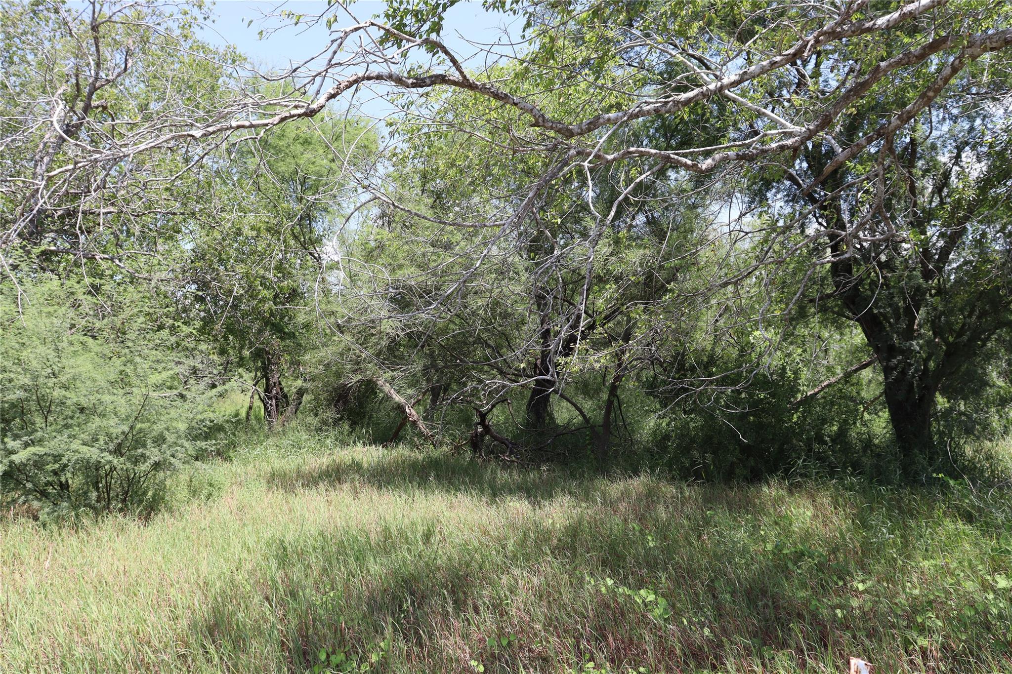 main property photo 15