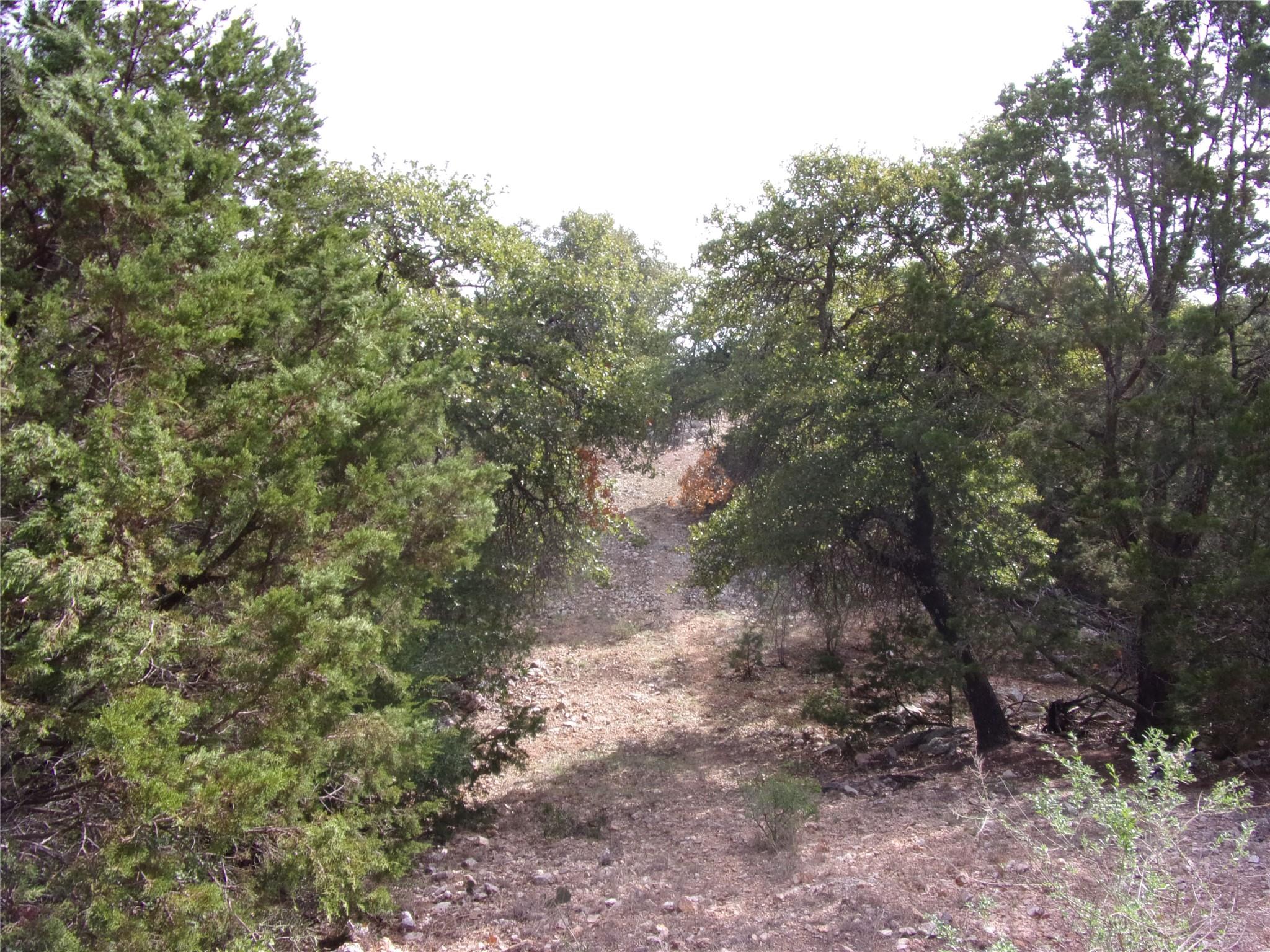 main property photo 32