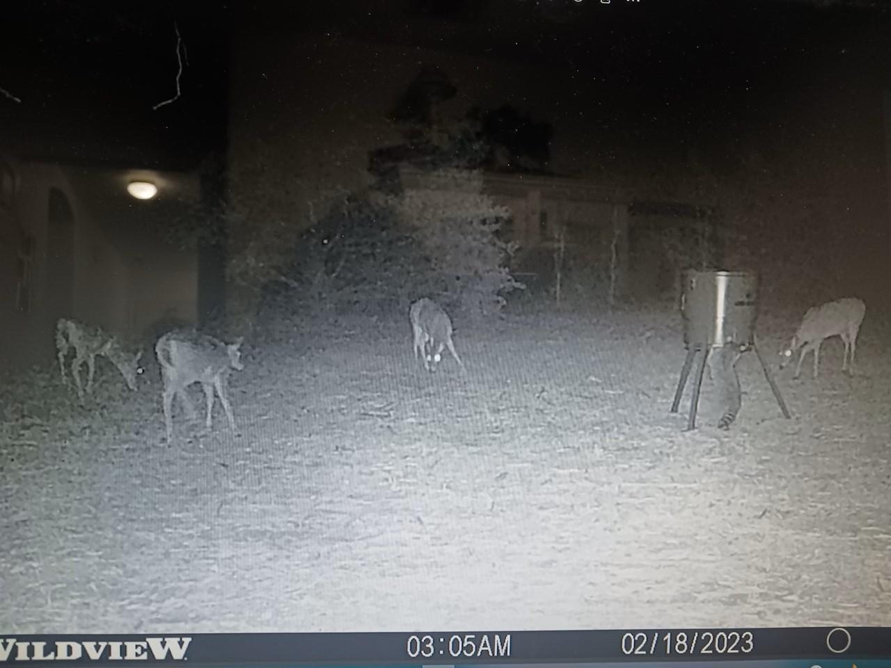 main property photo 25