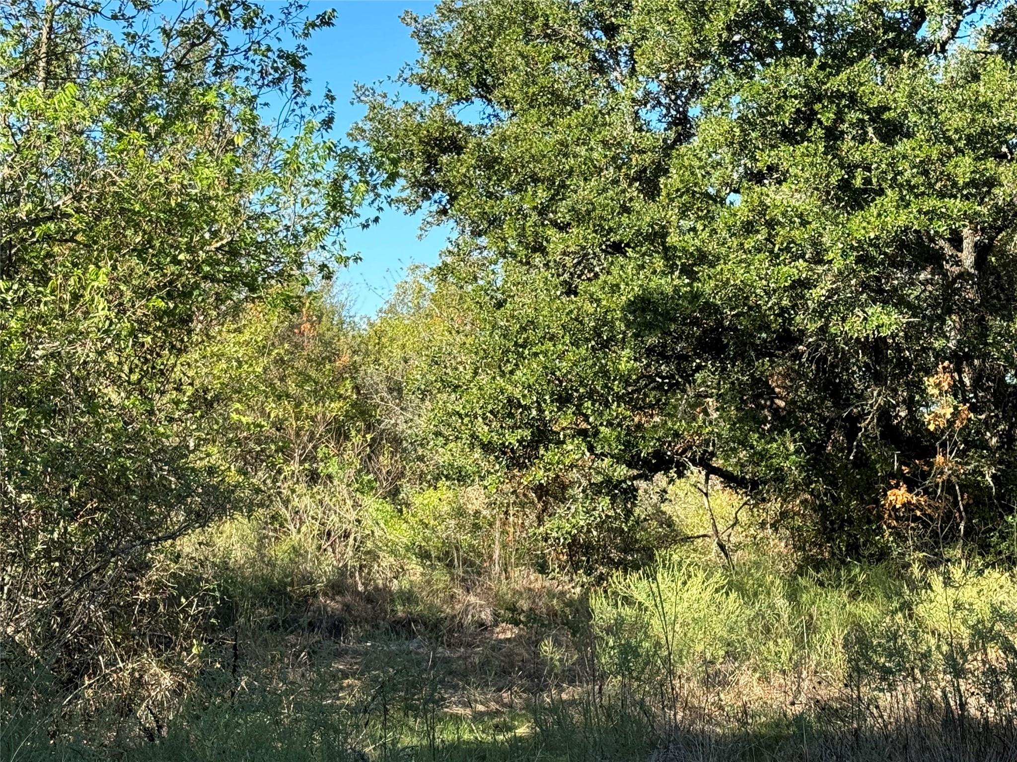 main property photo 14