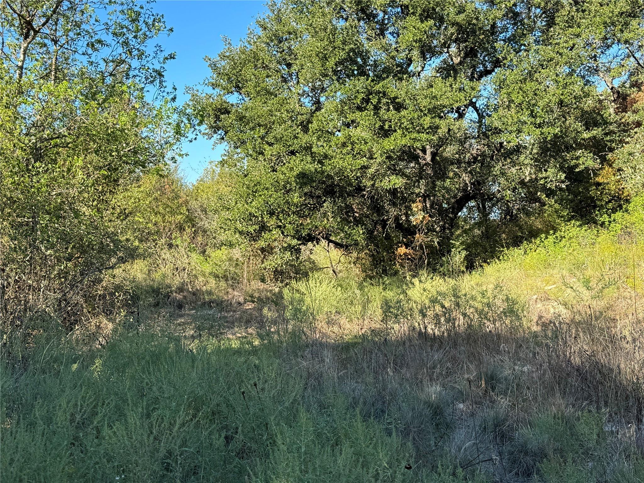 main property photo 20