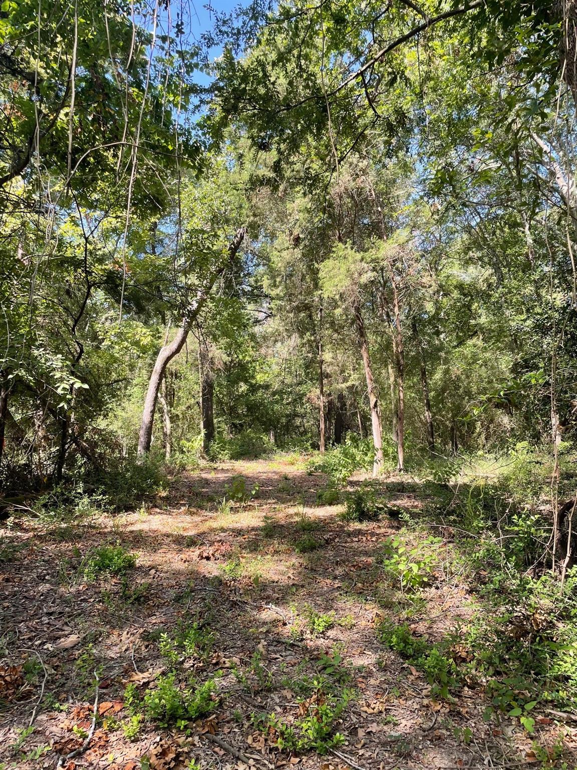 main property photo 11