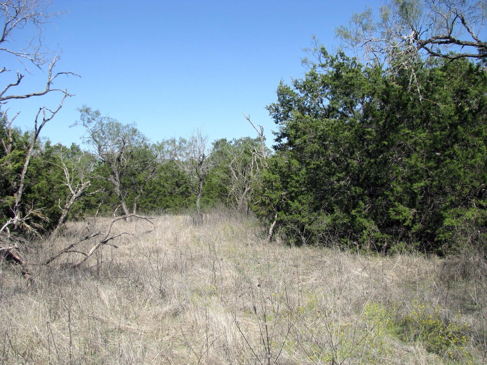 main property photo 17