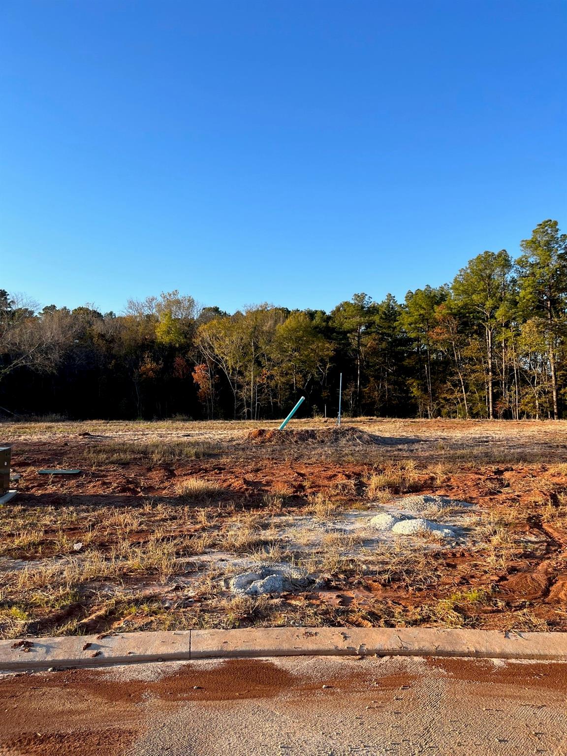 main property photo 4